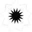 access-icon